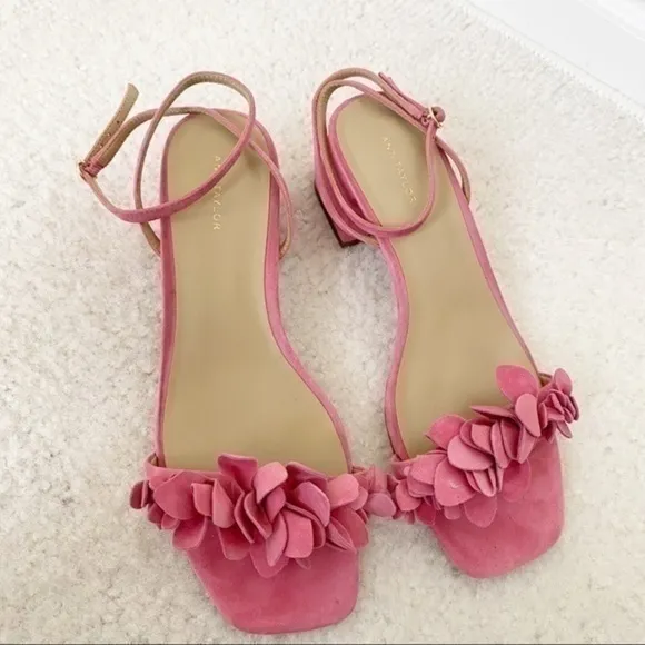 Ann Taylor pink sandals