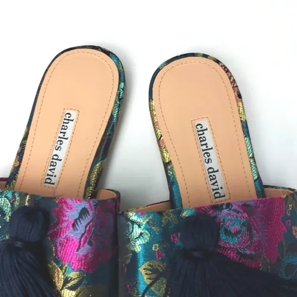 Charles David Sashay Sandal w/Tassel Colorful Slide Size 7.5