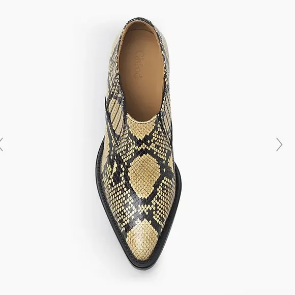 Chloe Rylee Low Boot 🥾 Snake Skin Python Print One of the &quot;It&quot; Patterns Luxe