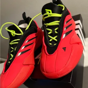 Dame 9 sz11 wore a couple times grip solid everything like brand new asking $110