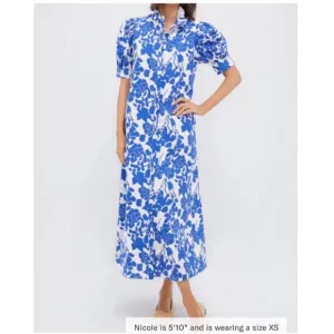 HYACINTH HOUSE Blue Floral Ruffle Collar Louisa Maxi Dress