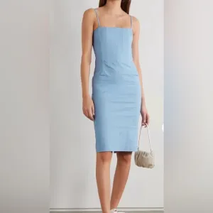 Miaou Embroidered Corset Midi dress