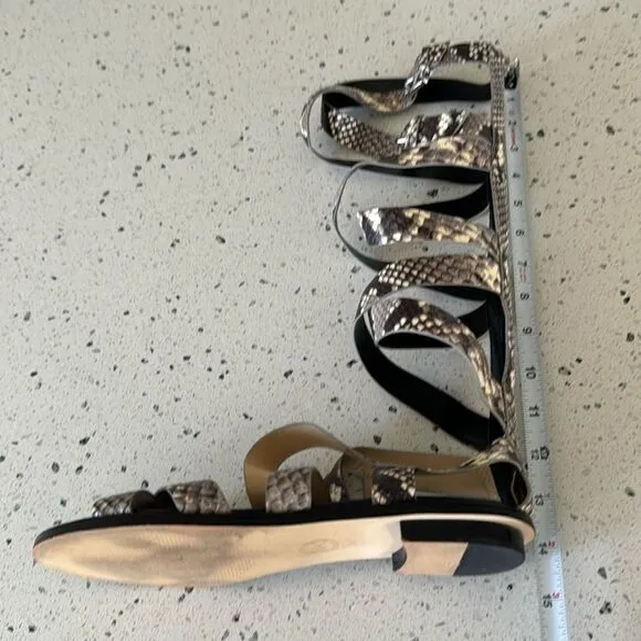 MICHAEL Michael Kors Darby Leather Snake Printed Tall Gladiator Sandals Size 8M