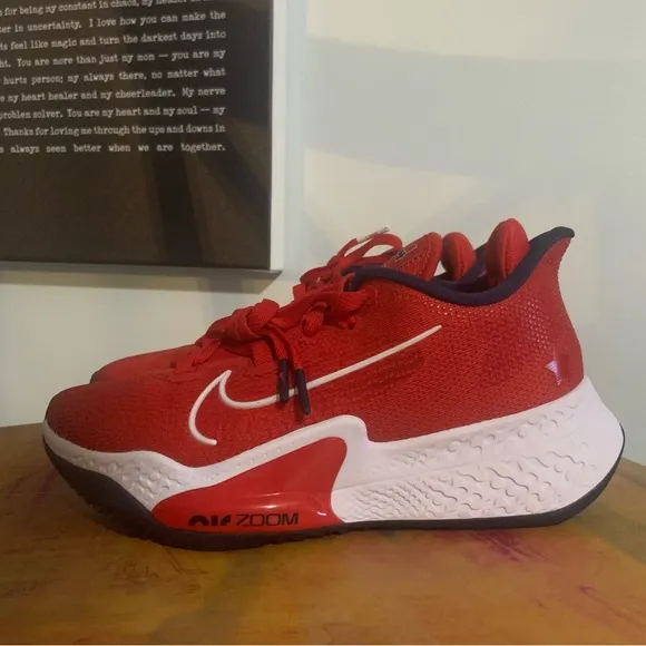 Nike Air Zoom USA Sneakers