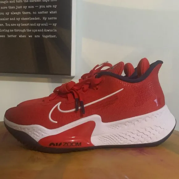 Nike Air Zoom USA Sneakers