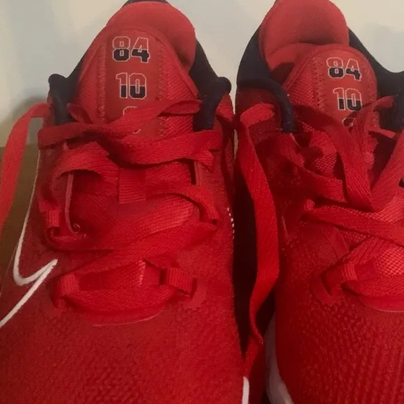 Nike Air Zoom USA Sneakers
