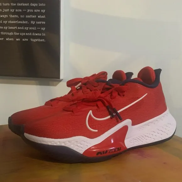 Nike Air Zoom USA Sneakers