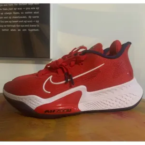 Nike Air Zoom USA Sneakers