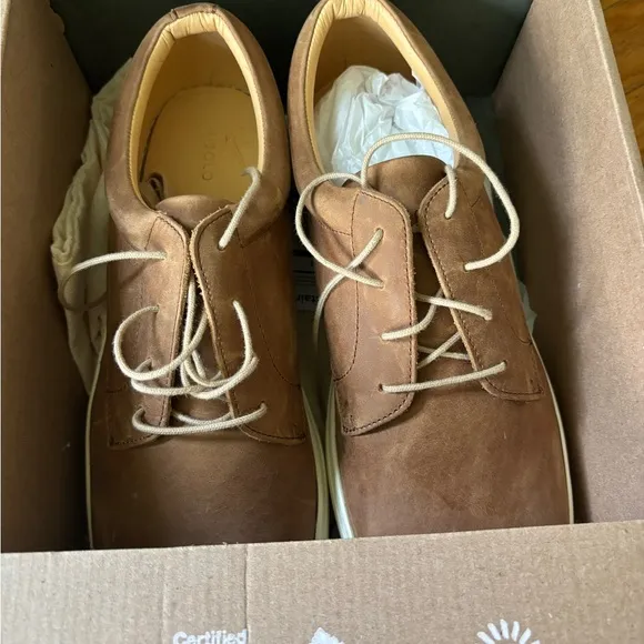 Nisolo Diego Everyday Low Top Sneakers NIB