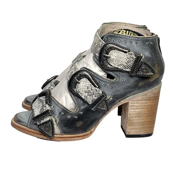 NWT Freebird by Steven VIOLET Snake Gray Buckle Leather Booties 10