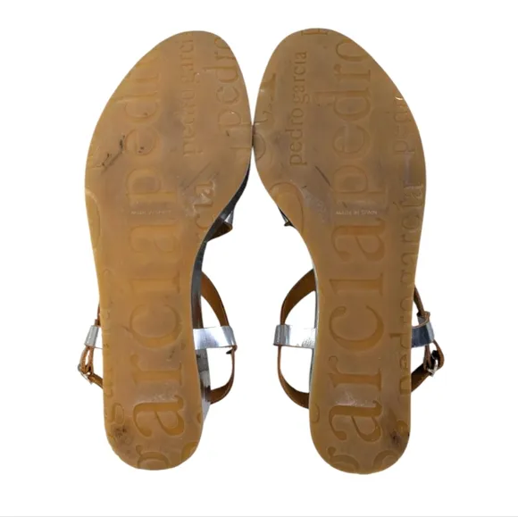 Pedro Garcia Platform Wedge Sandals GUC $595 Size 39 US 9  S3325