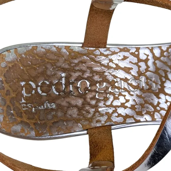 Pedro Garcia Platform Wedge Sandals GUC $595 Size 39 US 9  S3325