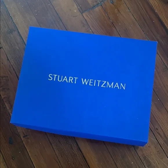 Stuart Weitzman Silver Heels.